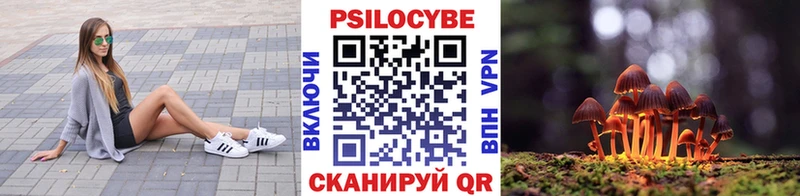 Купить где  Красный Холм  Псилоцибиновые грибы ЛСД 