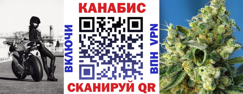 Купить где  Красный Холм  Бошки марихуана сатива 